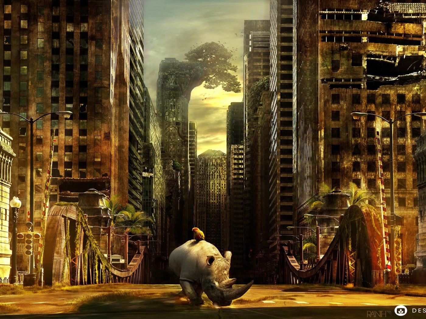 Носорог гуляет в брошенном городе