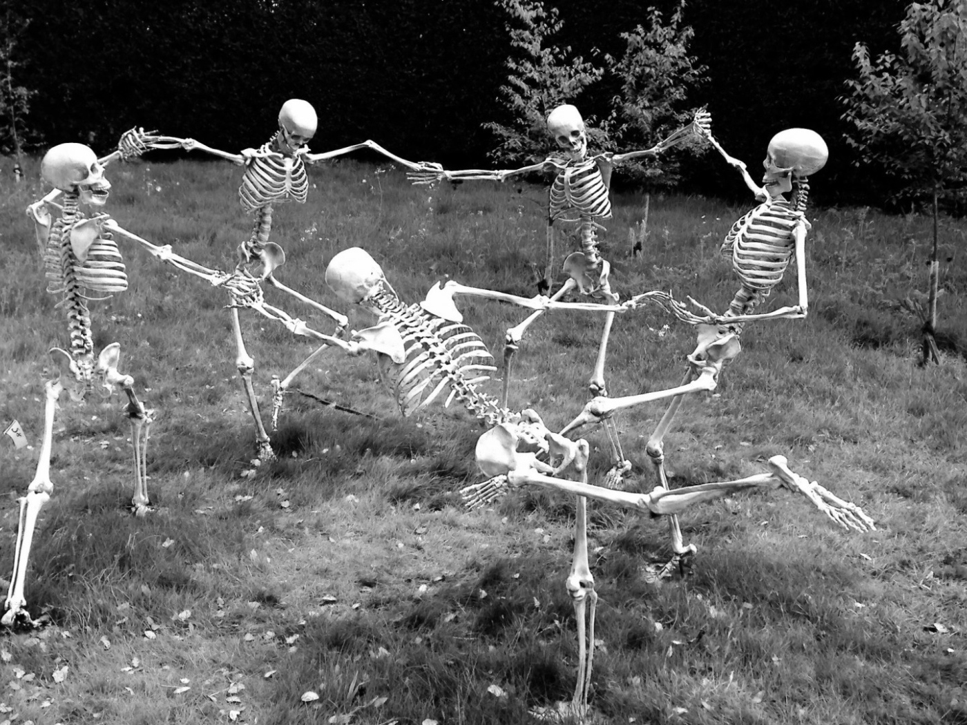 Скелеты водят хоровод