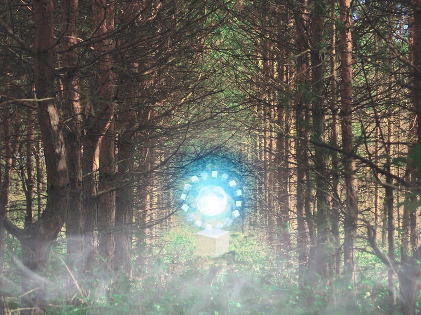 Временной портал посреди леса