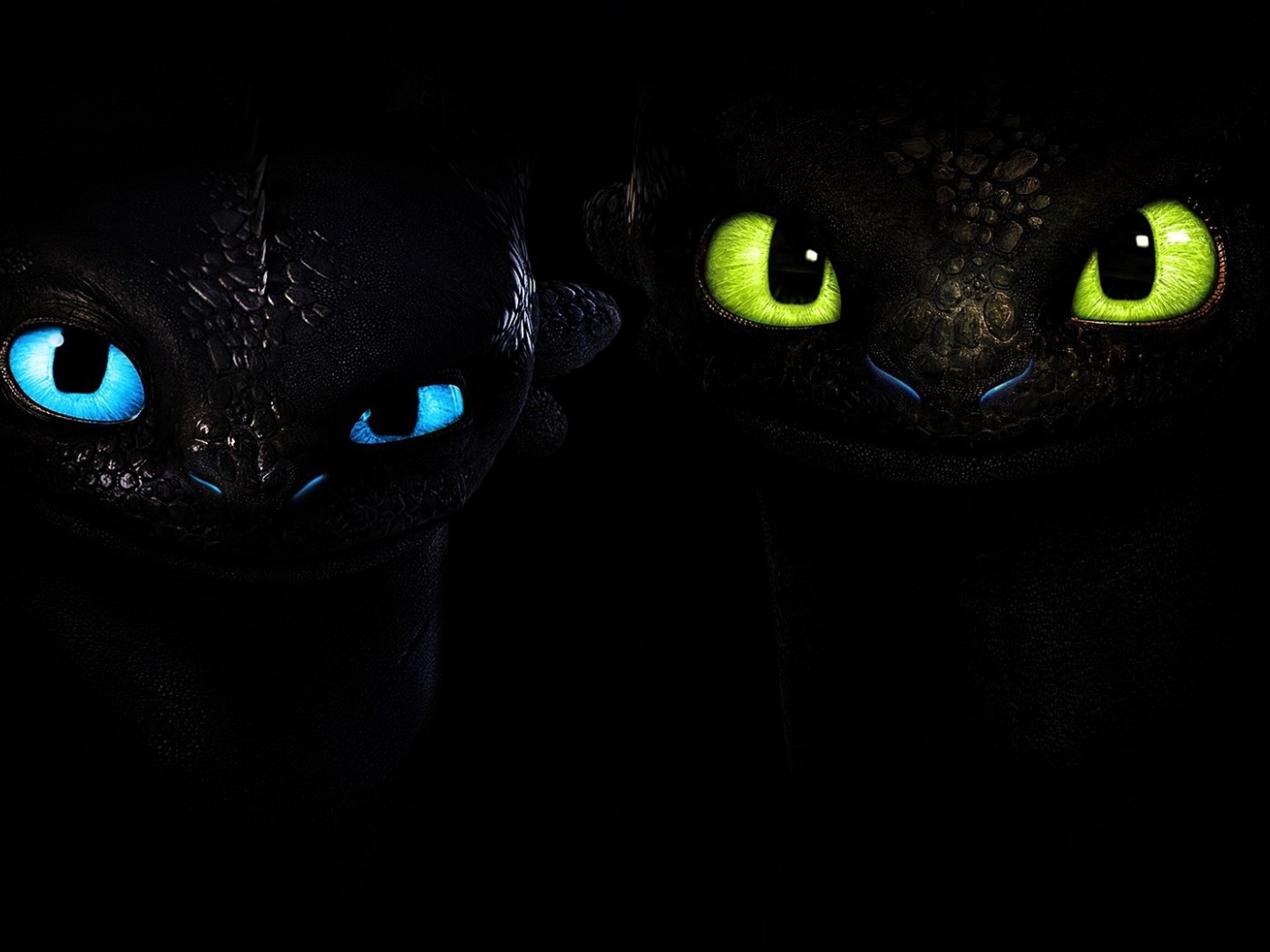 Два малыша черного дракона