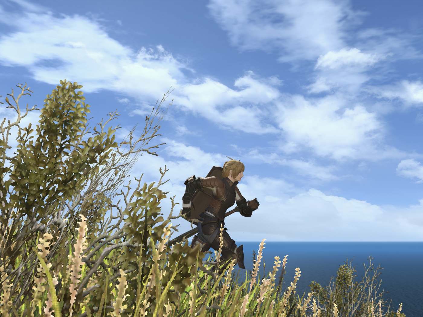 Мир игры Final Fantasy XIV