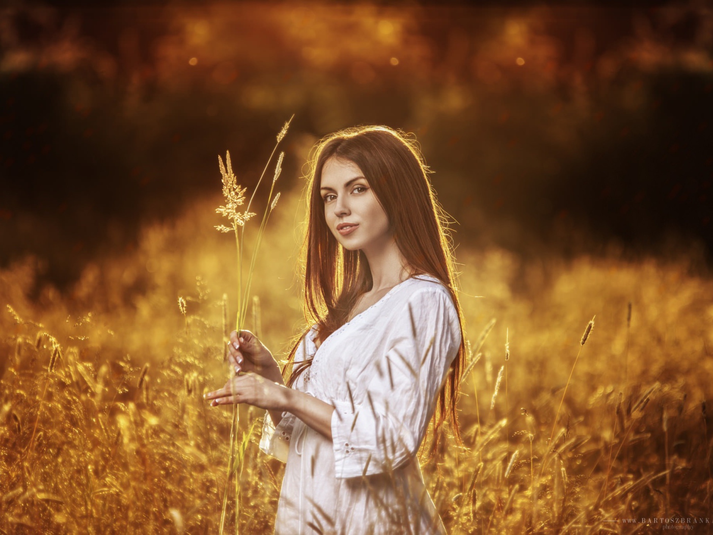Девушка в белом платье держит в руке колоски