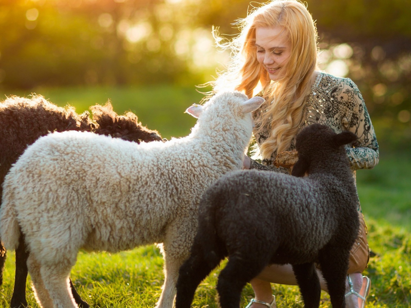 Девушка играет с овечками
