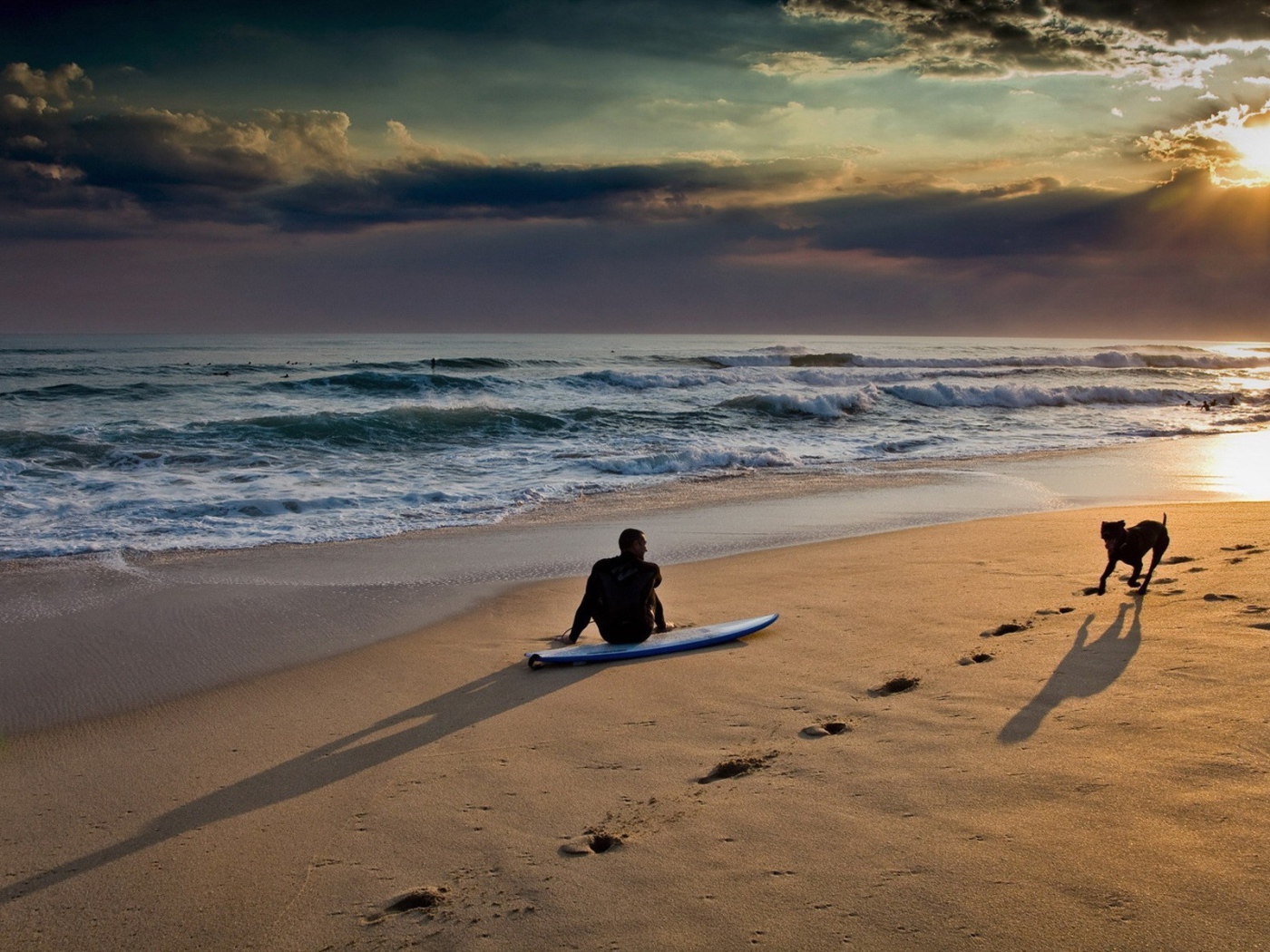 Серфер с собакой на пляже