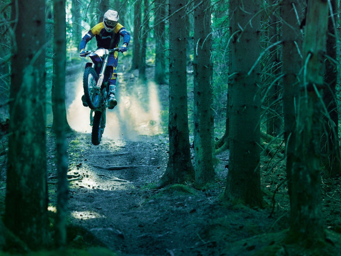 Гонщик на мотобайке в лесу