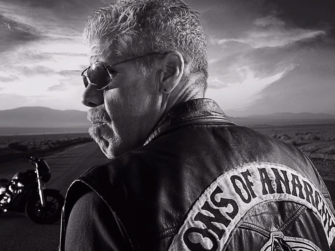Байкер на дороге, Сыны анархии
