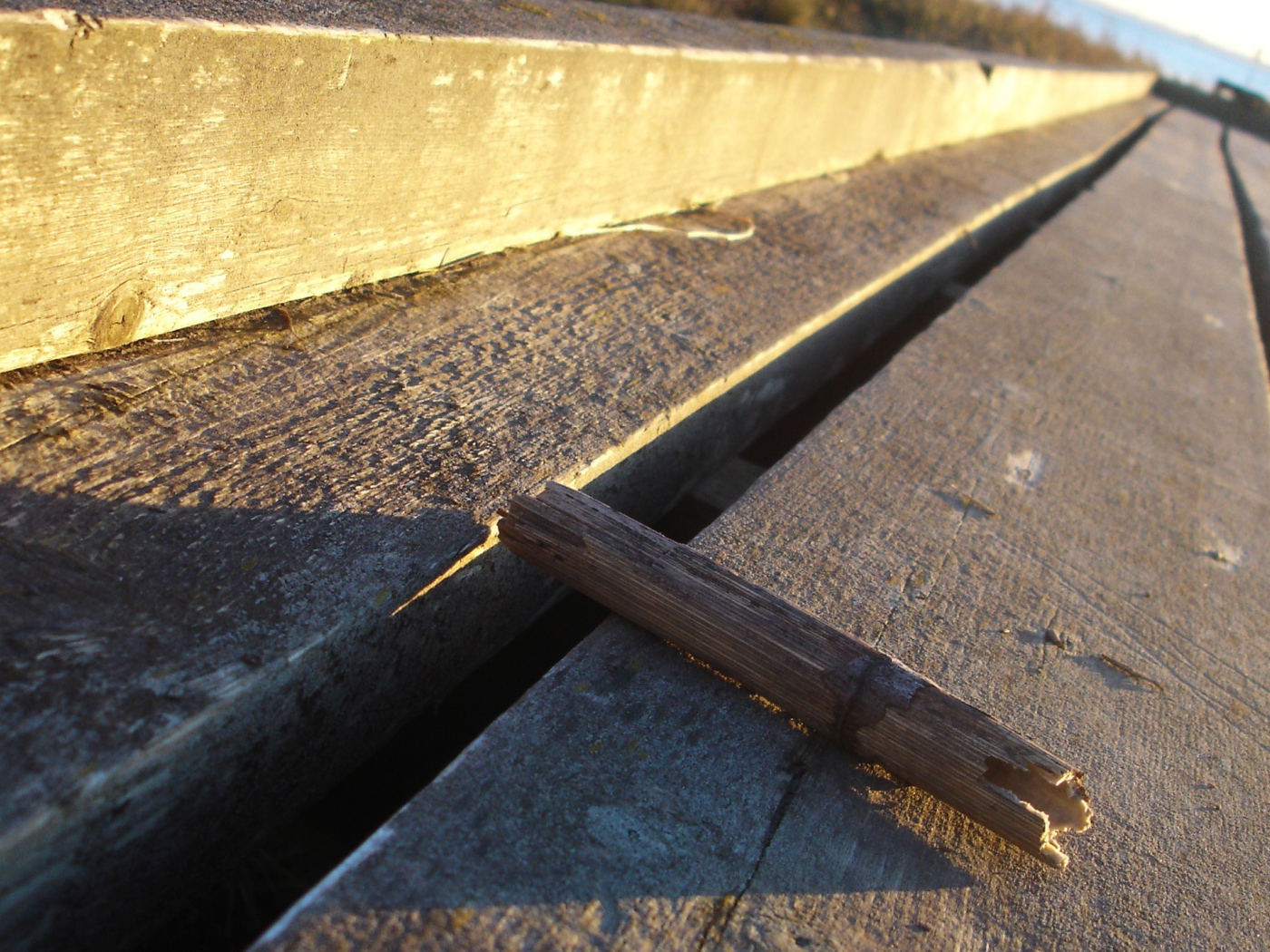 Кусок доски на деревянном помосте