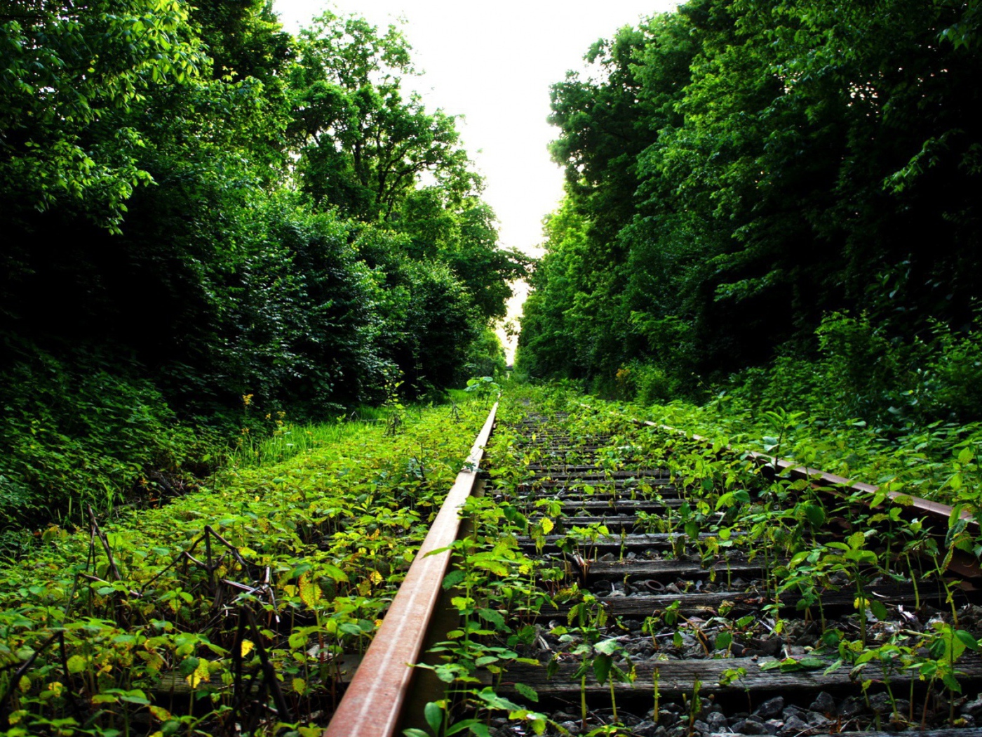 Заброшенный железнодорожный путь