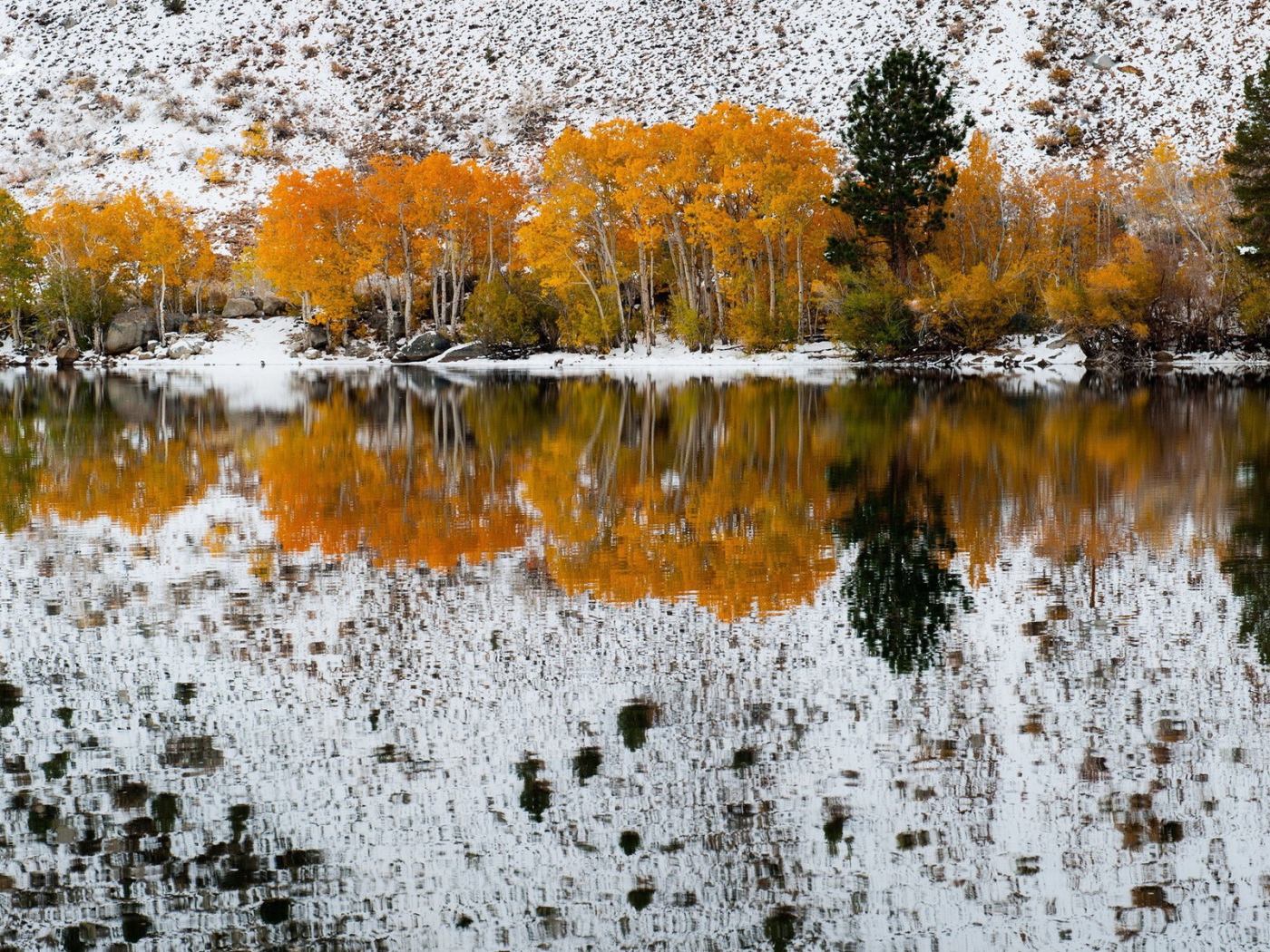 Осенние деревья на фоне первого снега отражаются в воде