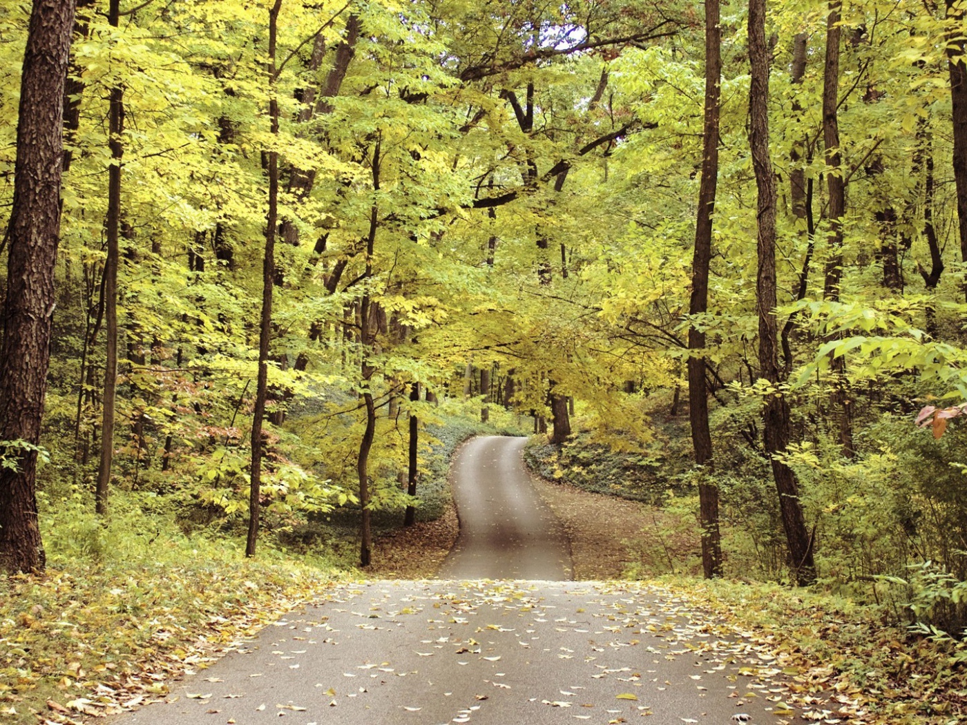 Велосипедная дорожка в осеннем парке