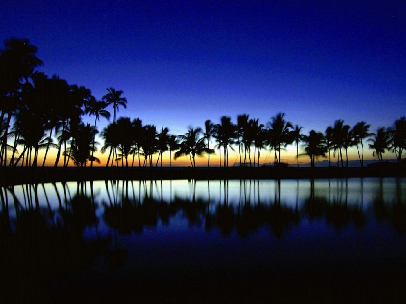 Темные силуэты пальм на фоне неба