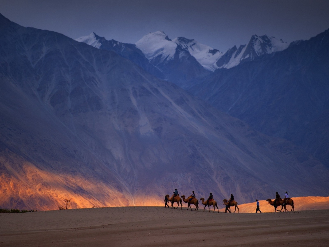 Караван верблюдов на фоне гор