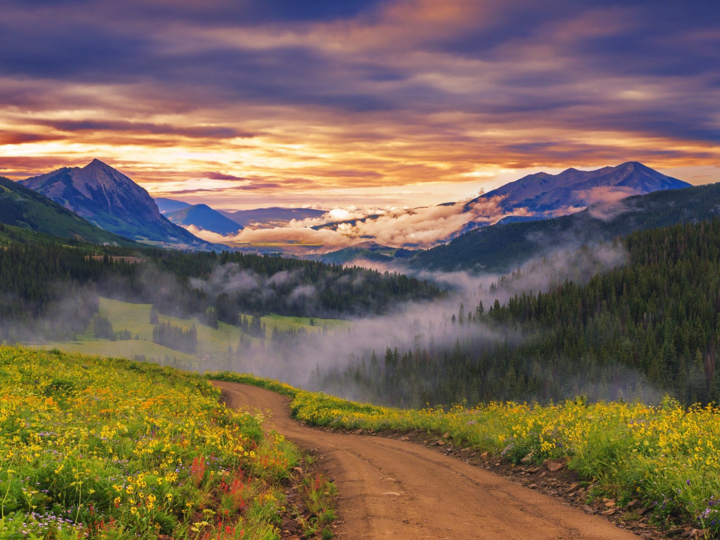 Облака опустились к вершинам деревьев