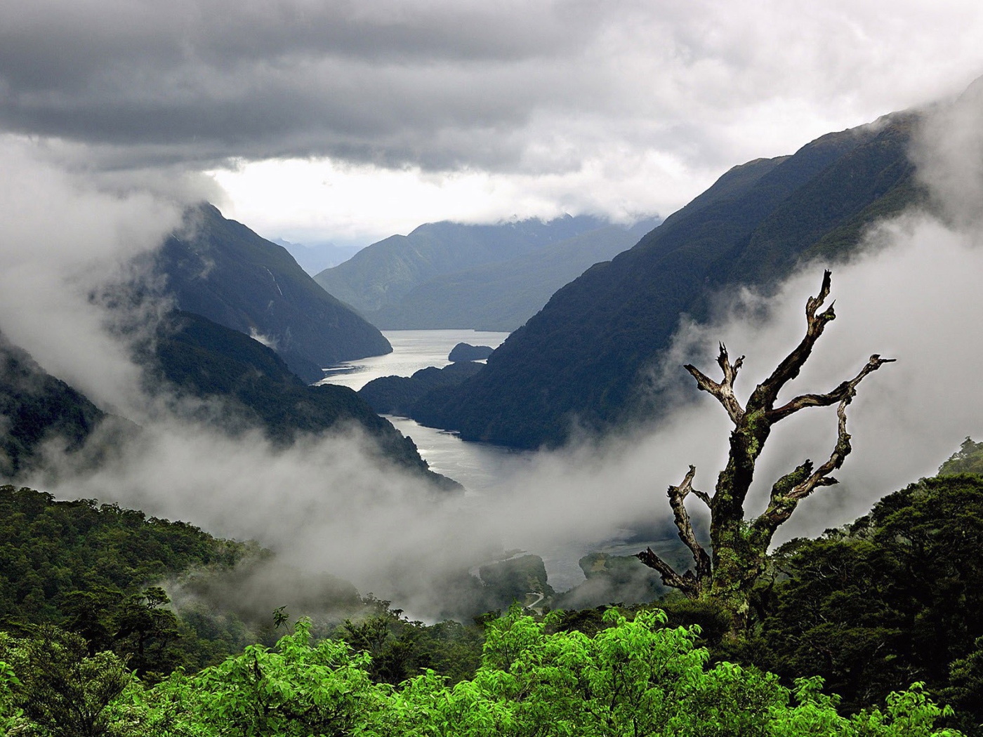 Туман стелется среди холмов