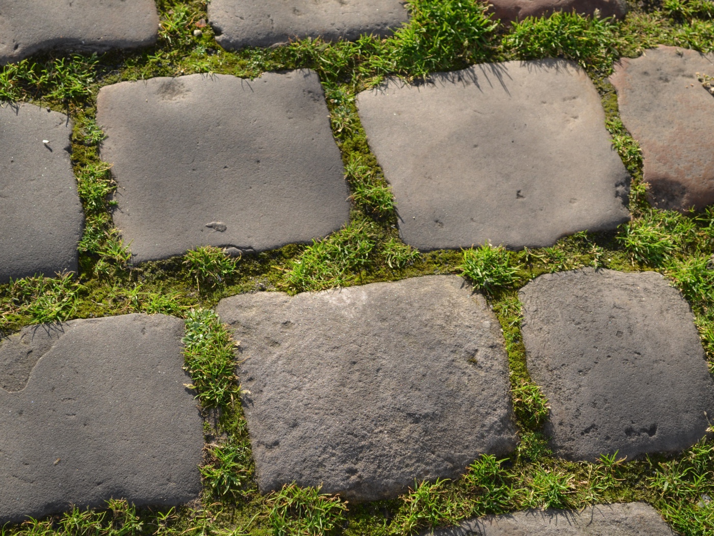 Зеленая трава между блоков брусчатки