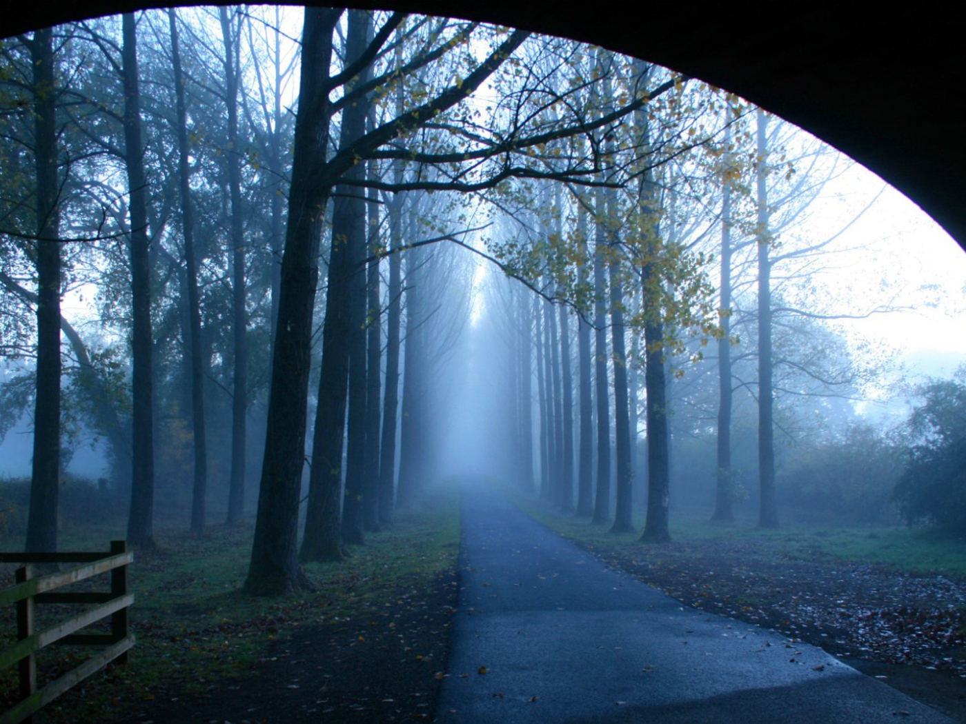 Туманная аллея у моста