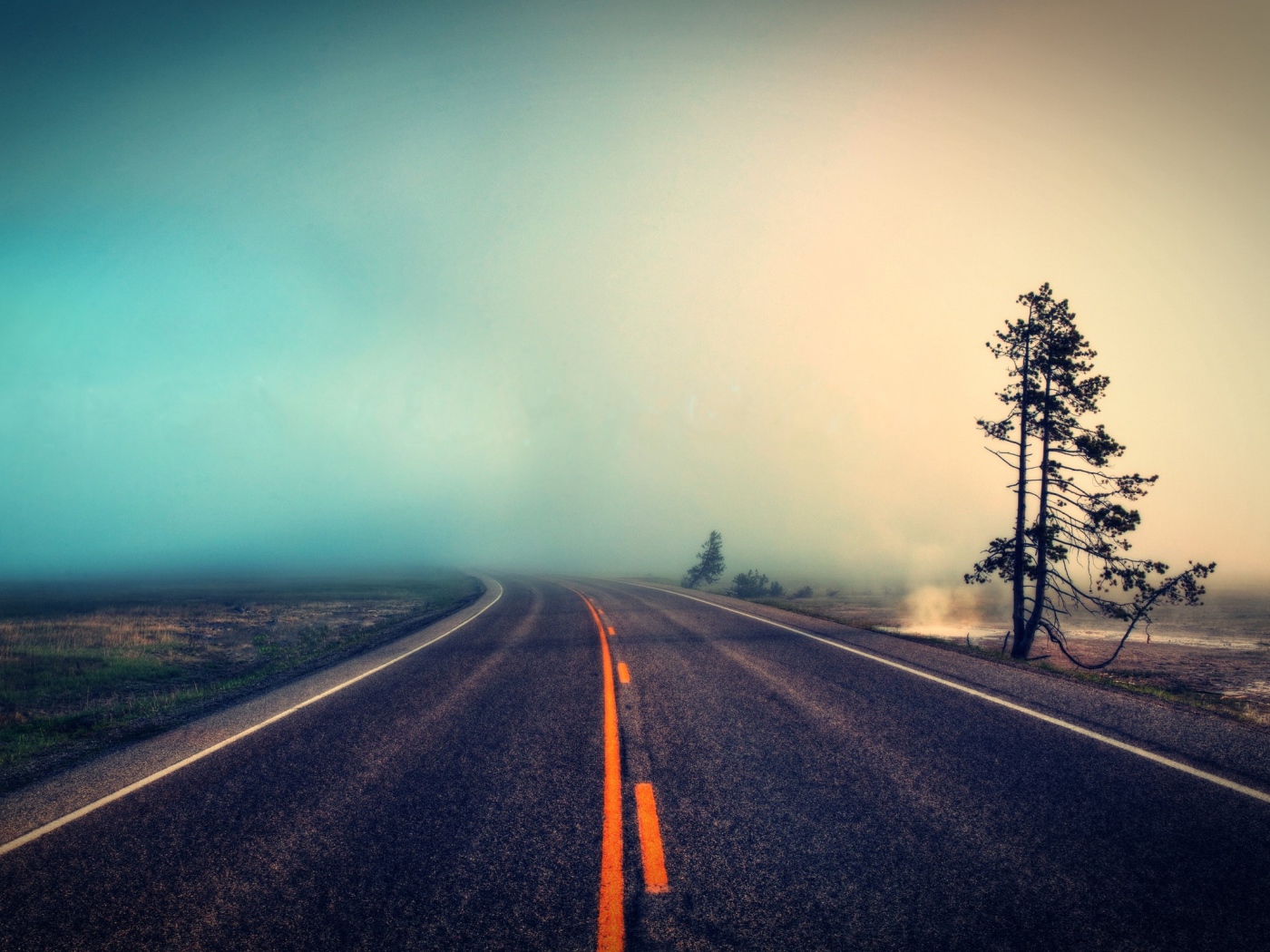 Оранжевая разметка на шоссе