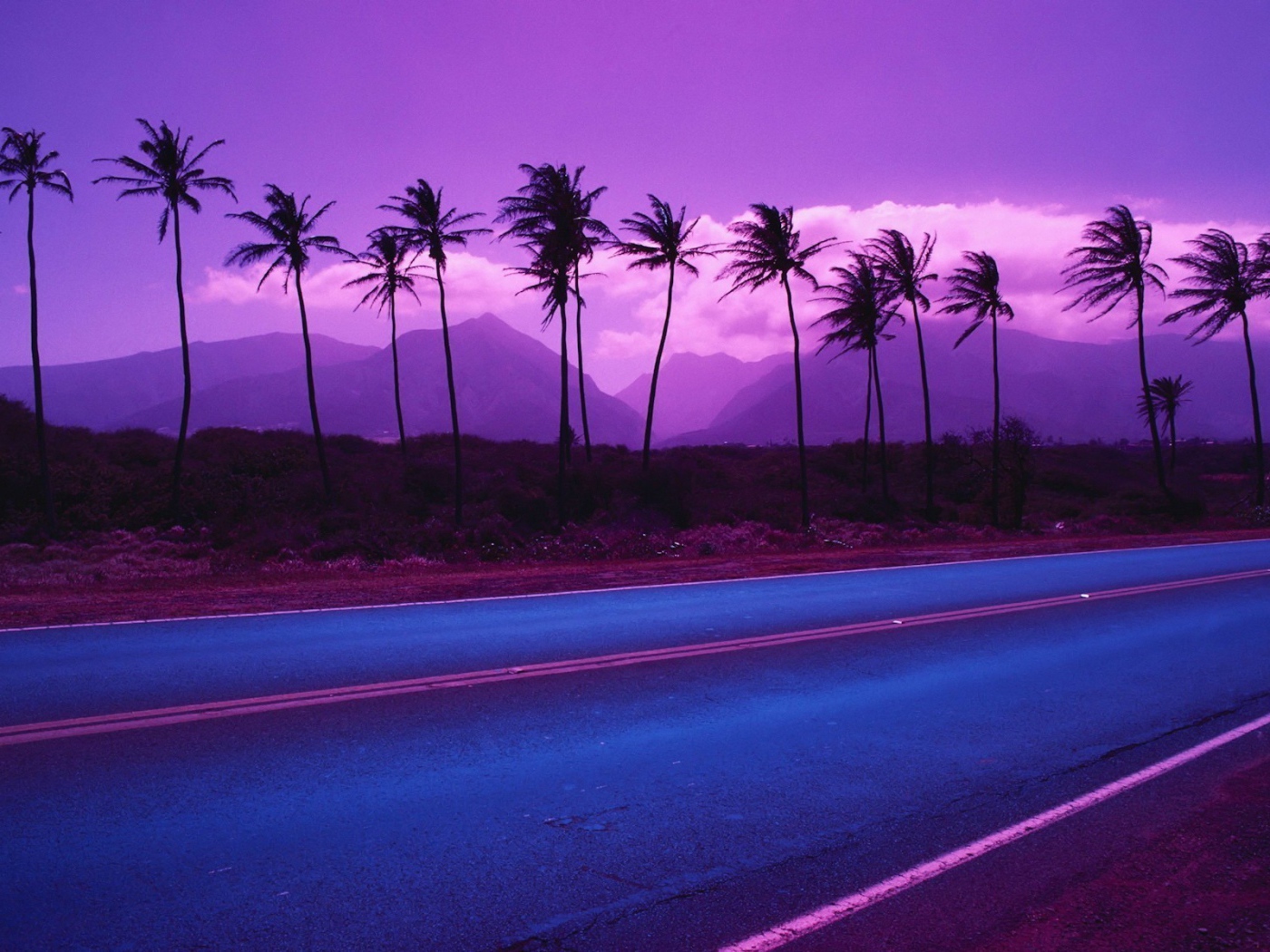 Пальмы на фоне фиолетовых гор и облаков