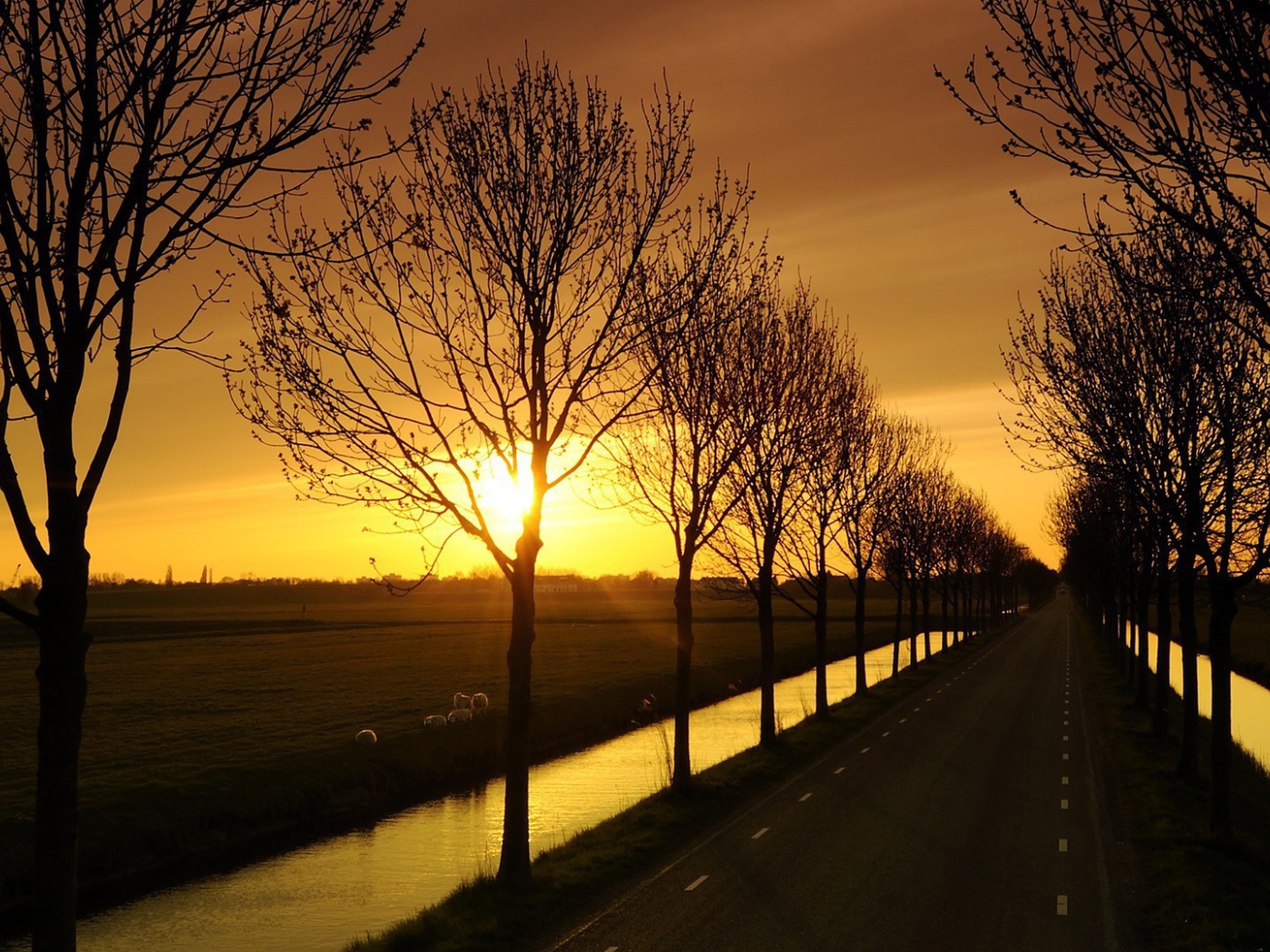 Дорога с каналами по краям