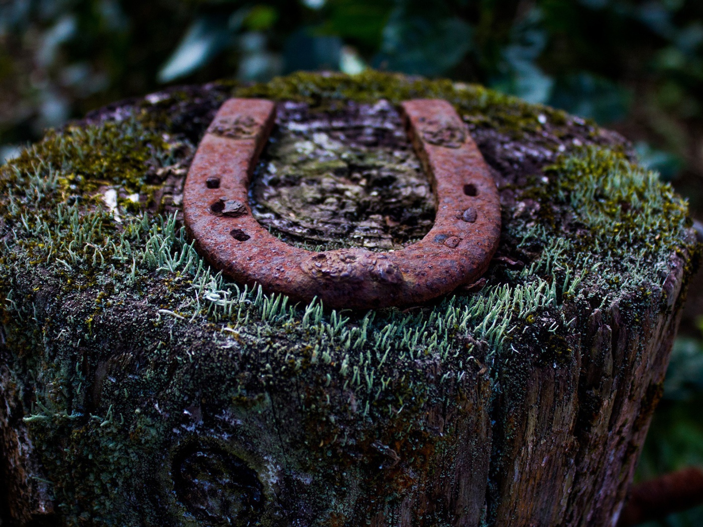 Ржавая подкова на пеньке