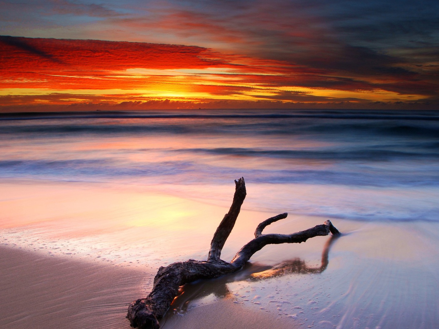 Коряга на белом песке пляжа на закате