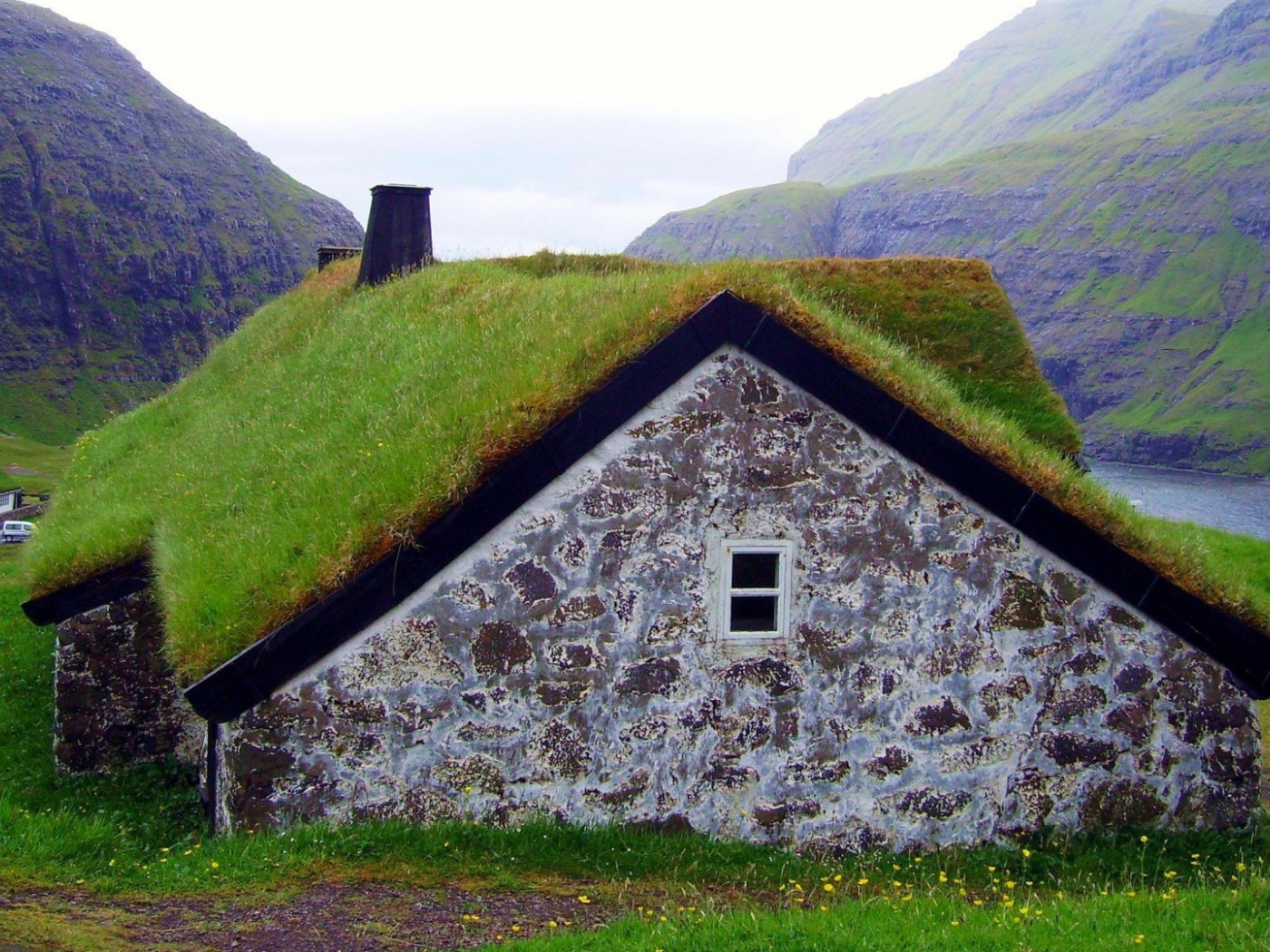 Густая трава на крыше сарая