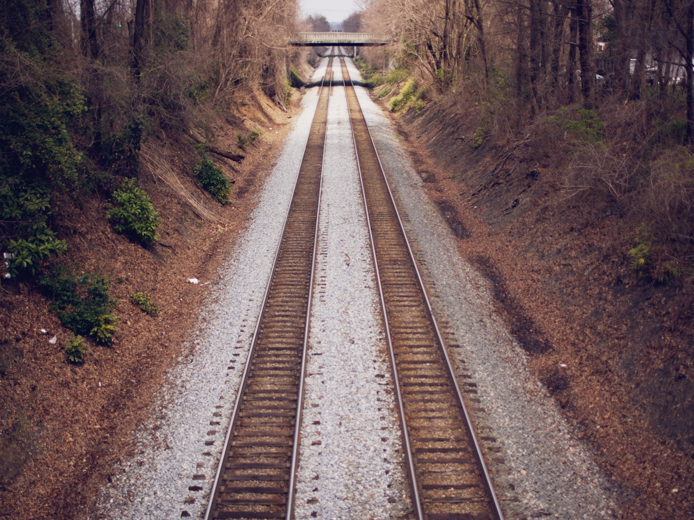 Два пути железной дороги между деревьями