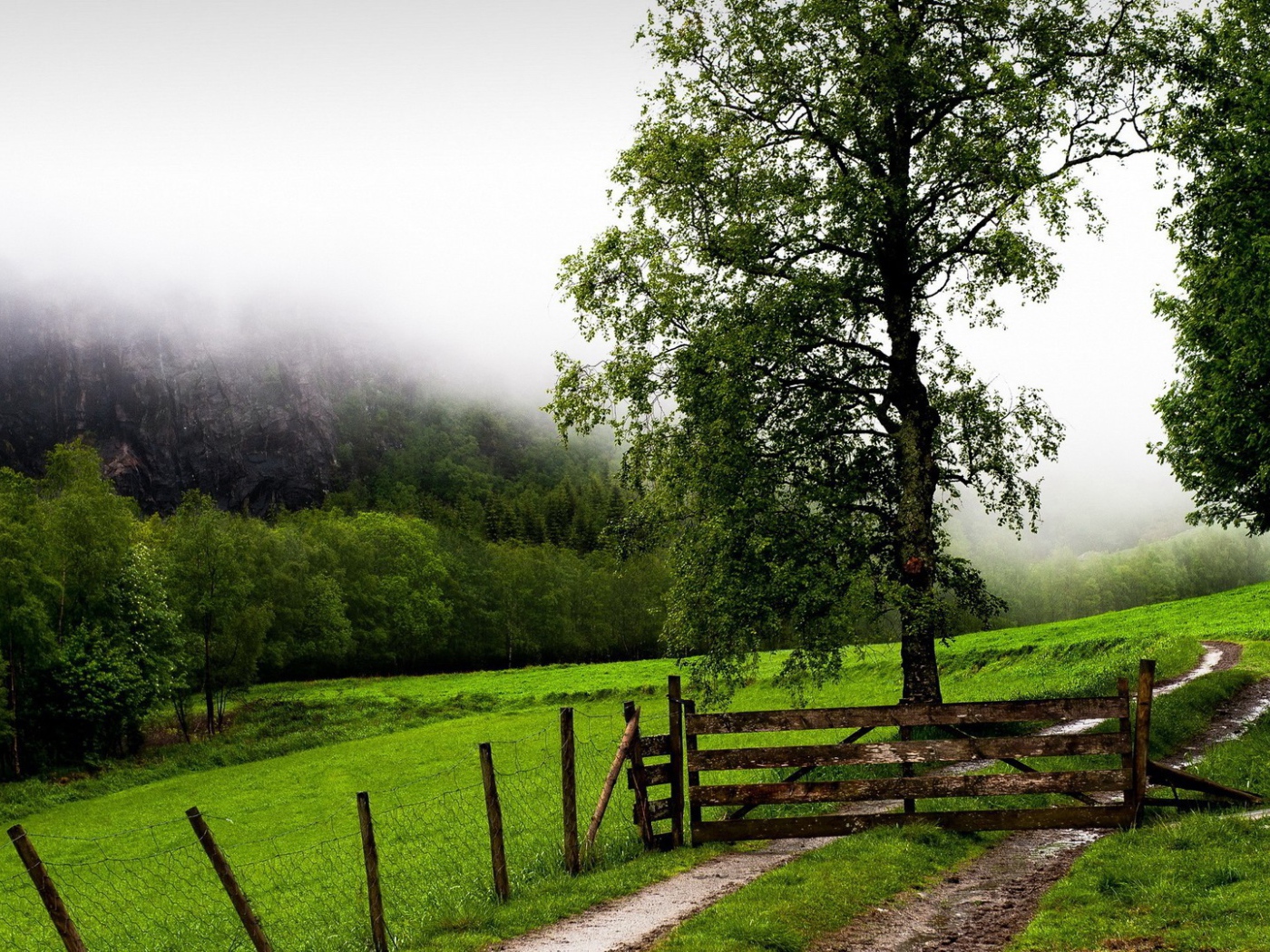 Деревянная преграда на тропе