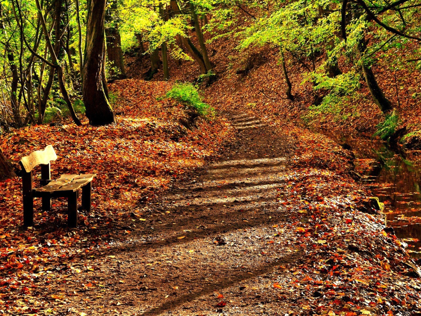 Деревянная скамья на усыпанной листьями аллее