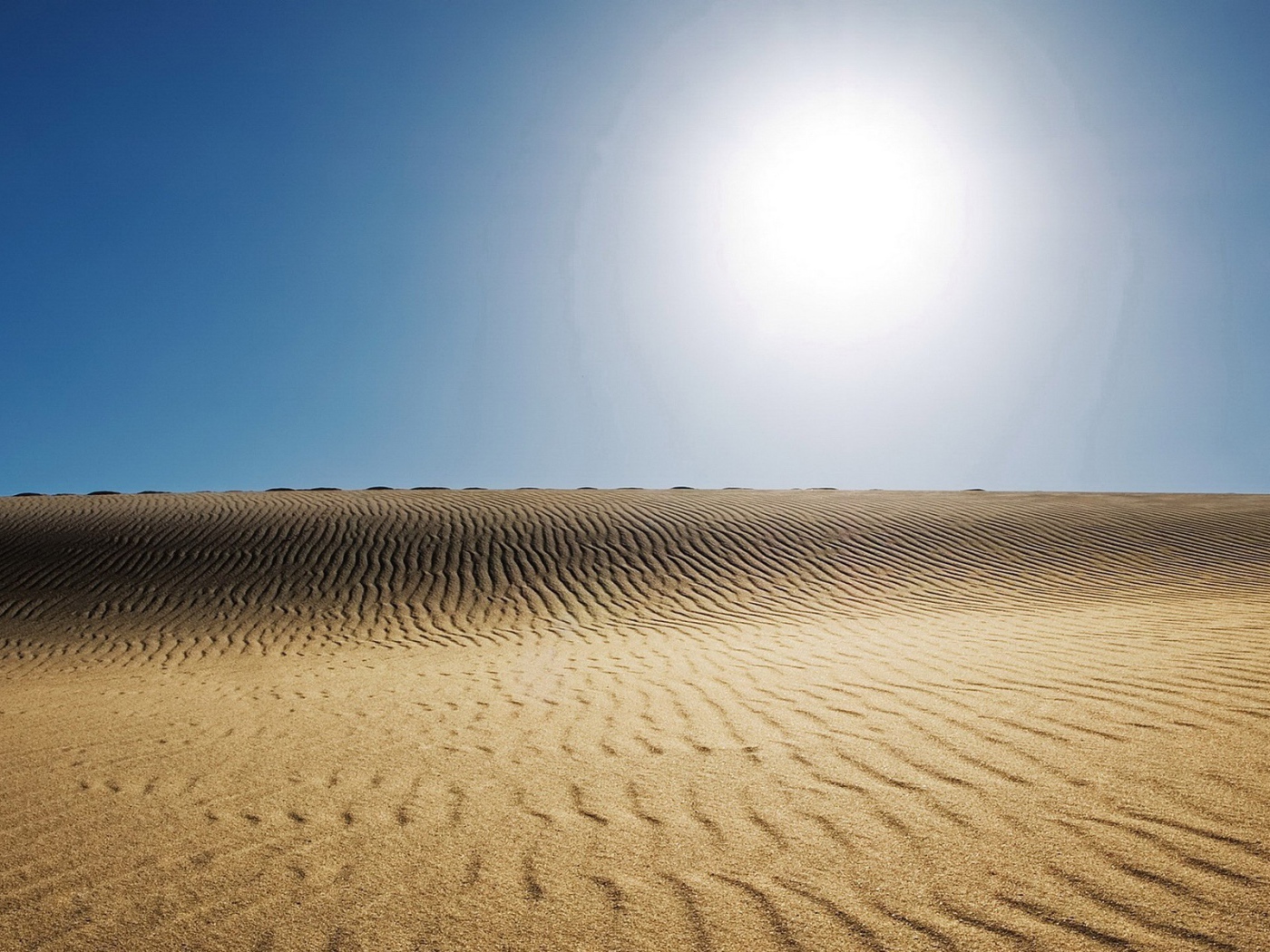 Бескрайняя мертвая пустыня