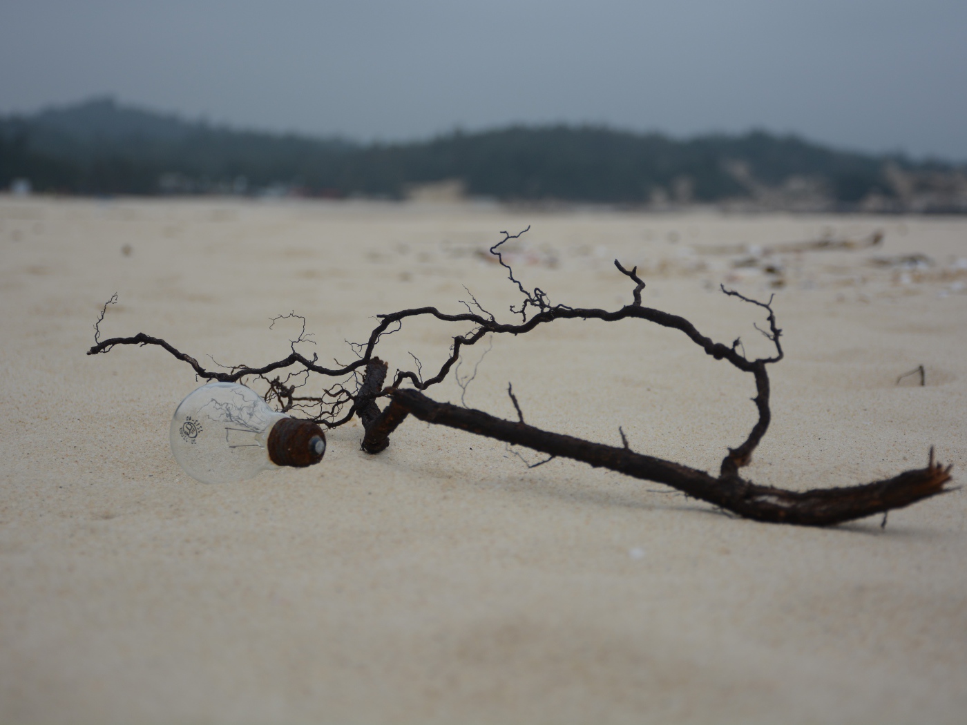 Черная ветка на белом песке
