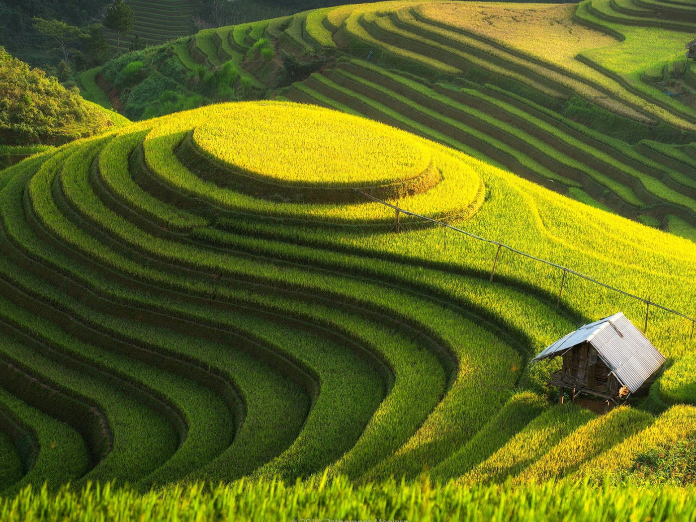 Возделанные поля на холме