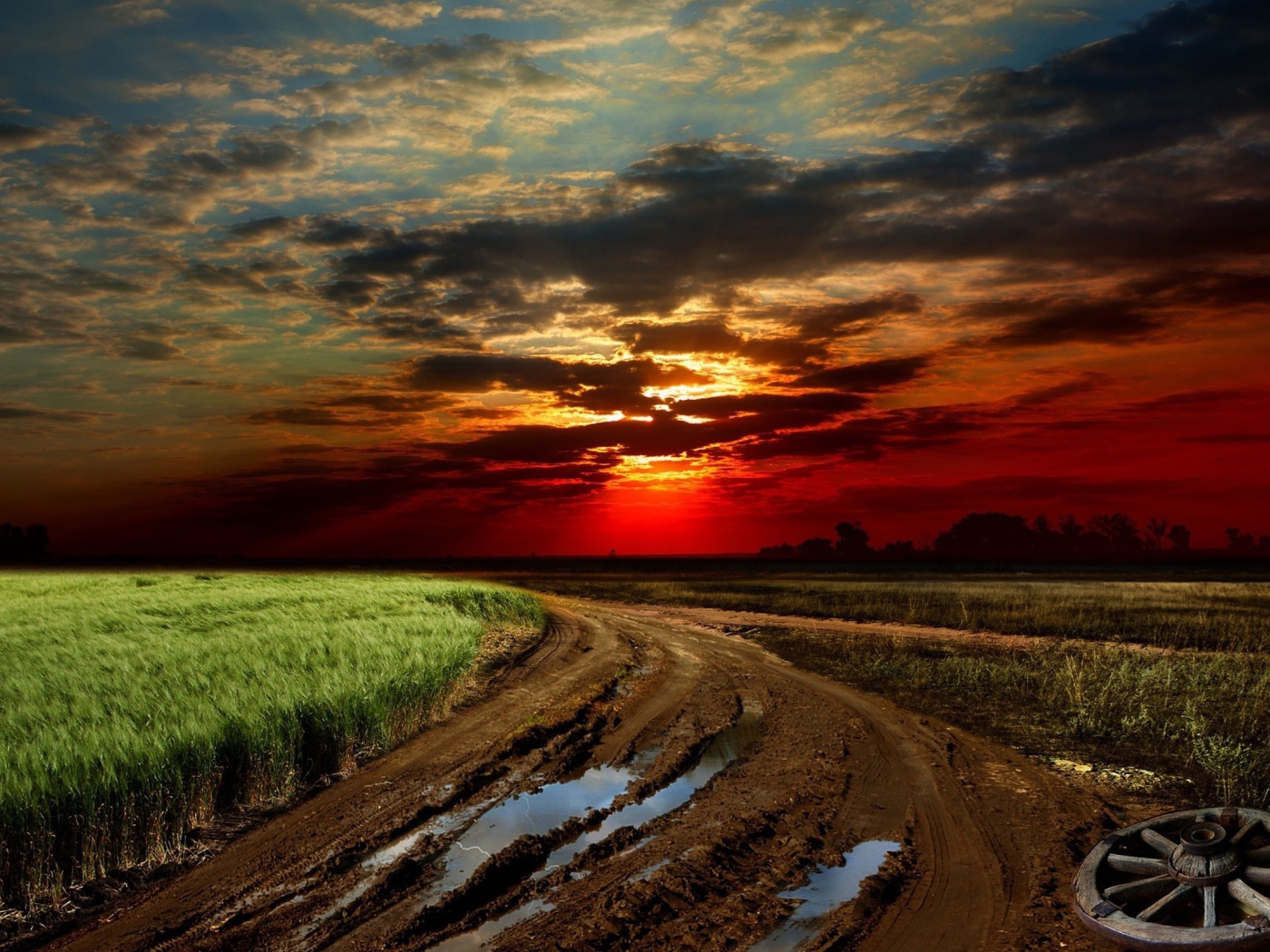 Размытая грунтовая дорога на краю поля