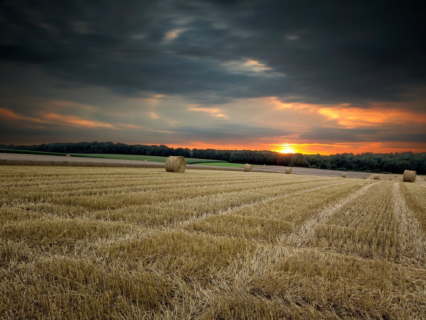 Убранное поле с сеном