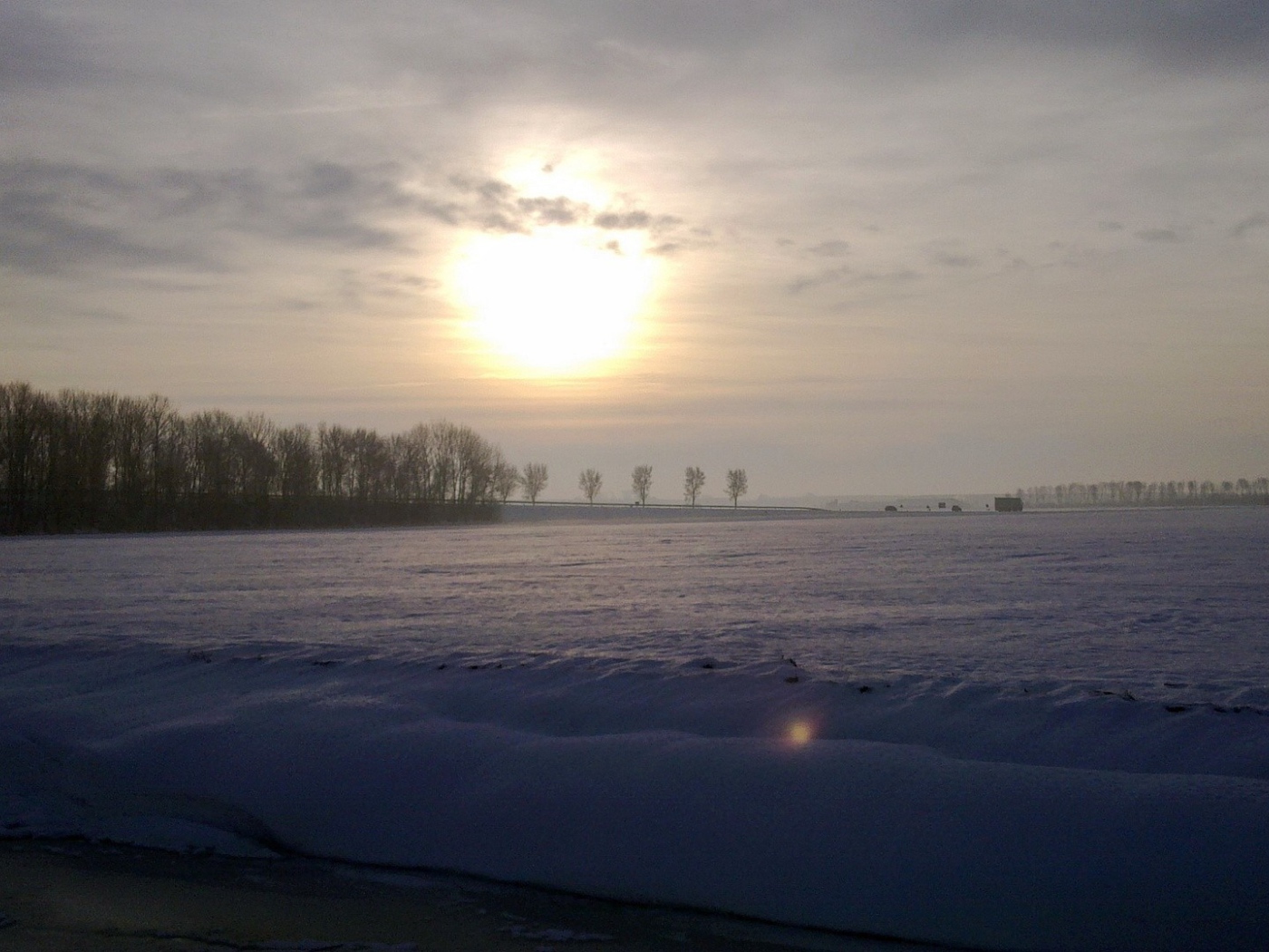 Заметенное снегом поле