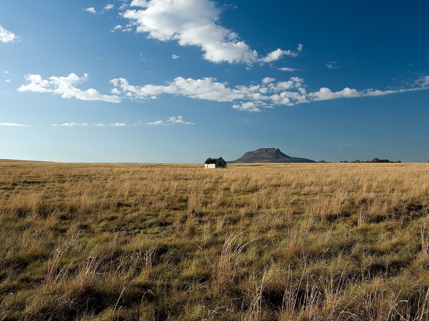 Одинокий дом посередине поля