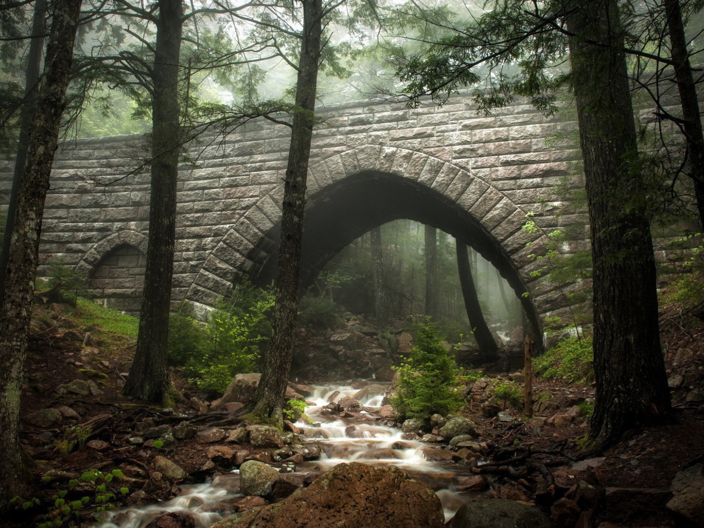 Ручей под каменным мостом в лесу