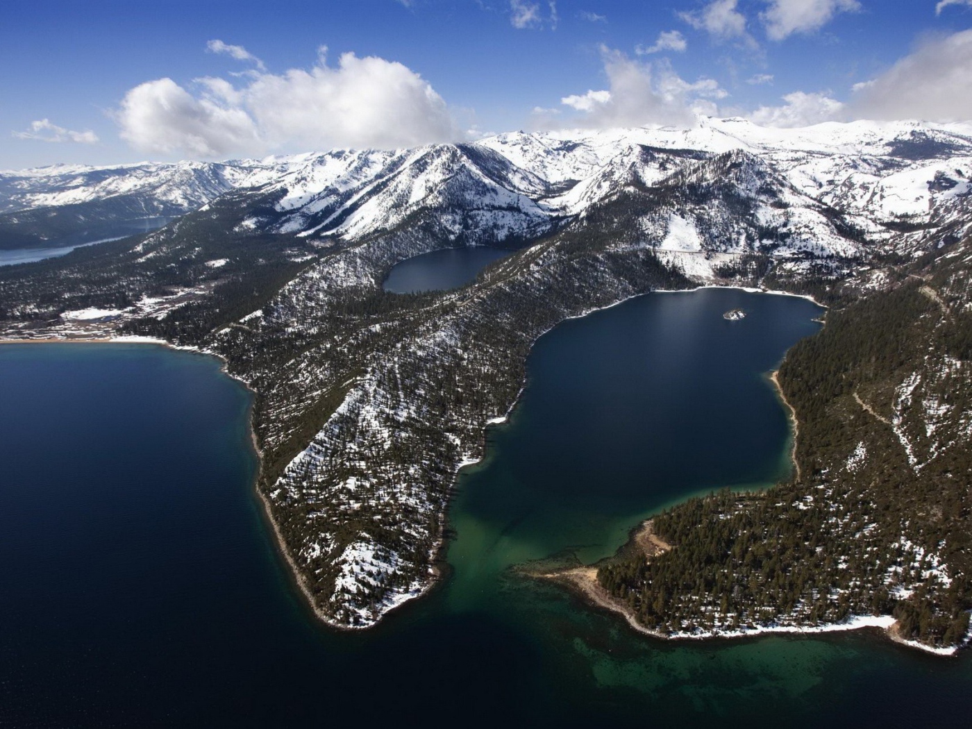 Густой заснеженный лес в горах, спускающихся к морю
