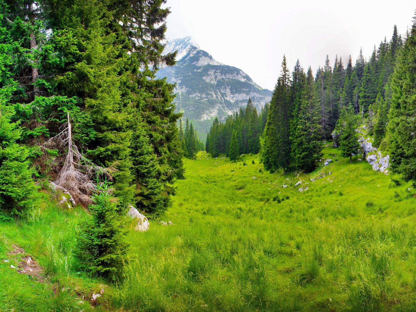 Сказочная природа предгорья