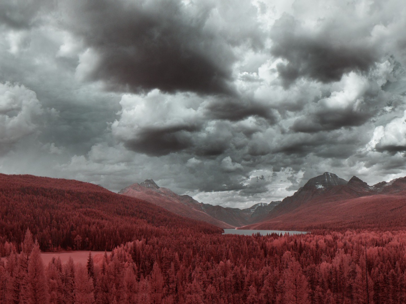 Рыжий лес в предгорье