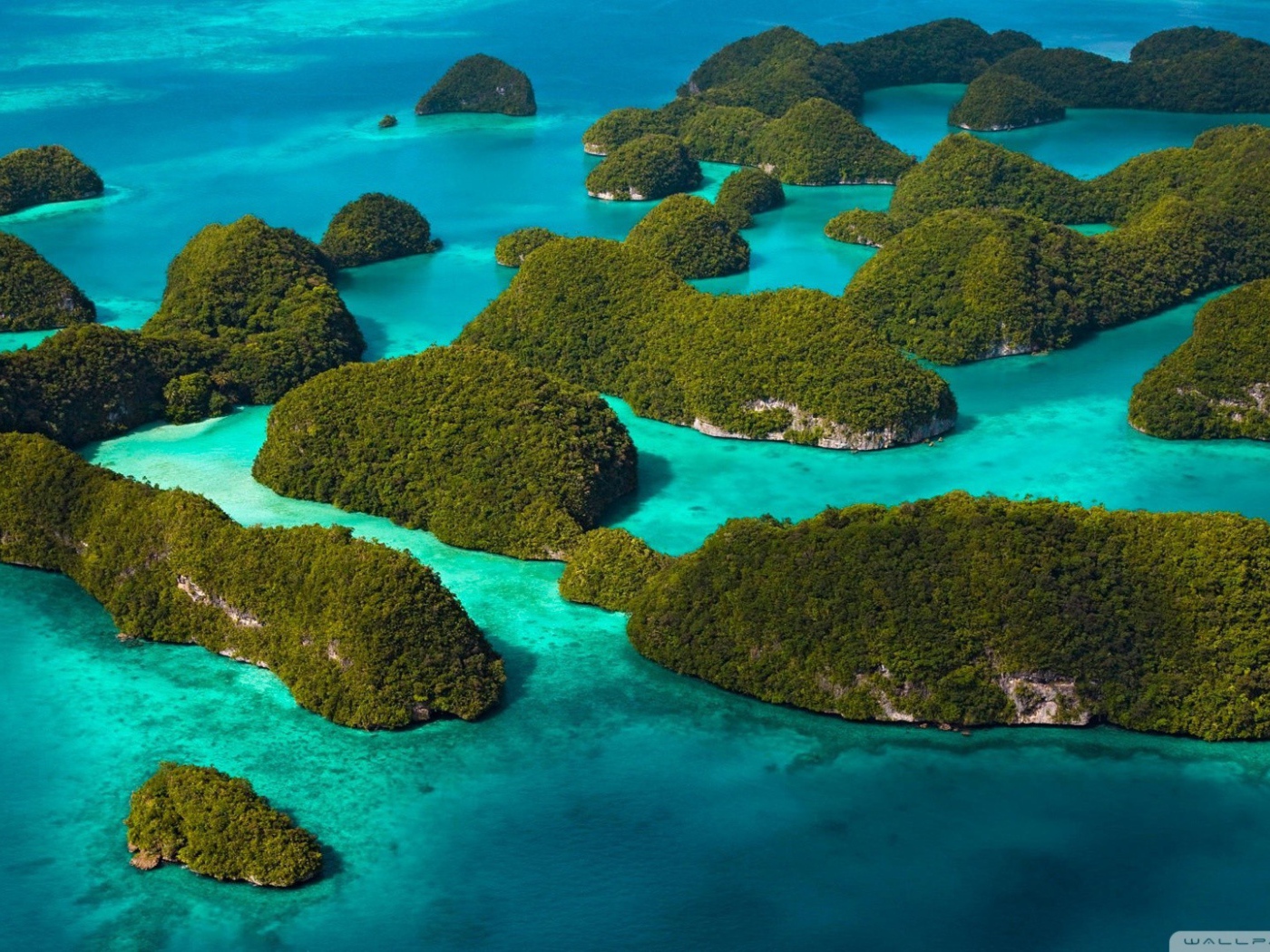 Покрытые лесом острова среди голубой воды