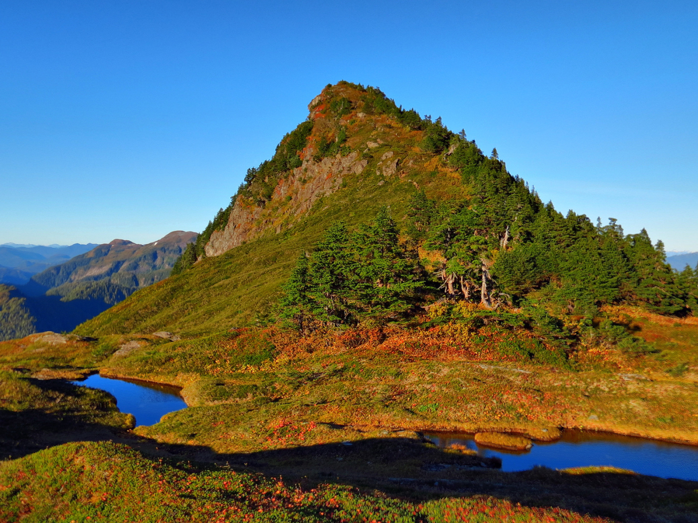 Гора заросшая деревьями