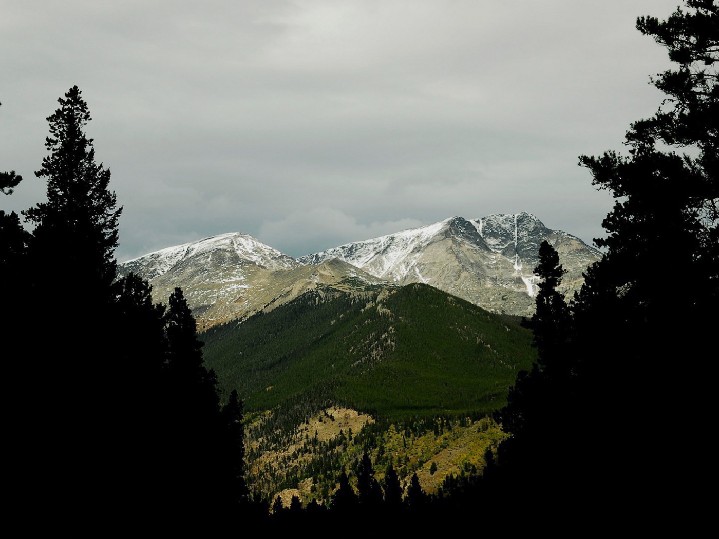 Фото гор среди деревьев