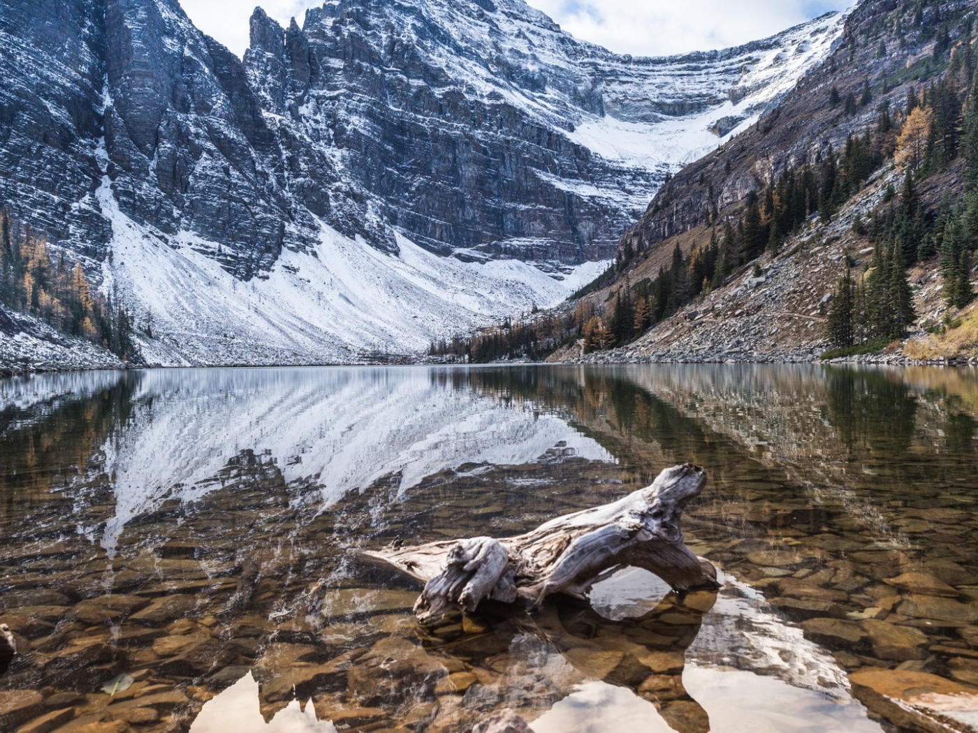 Остаток от дерева в воде горной реки