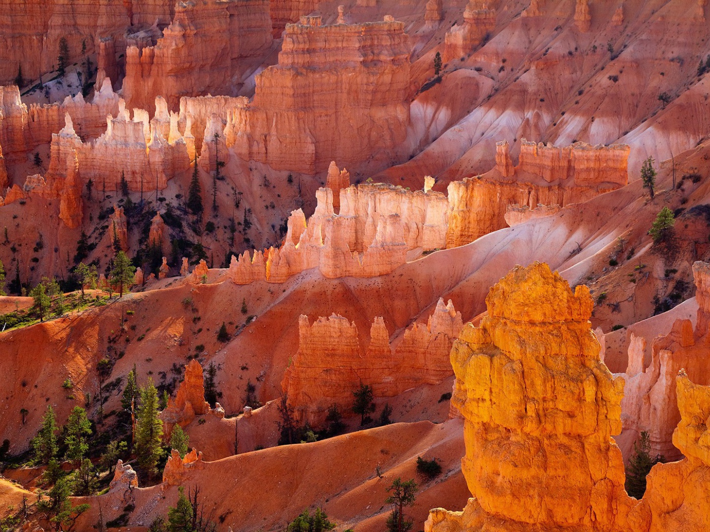 Желтый скалистый каньон