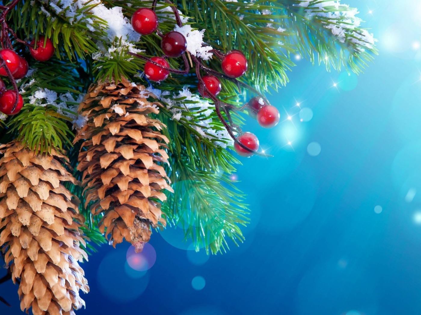 Шишки и ягоды на хвойном дереве