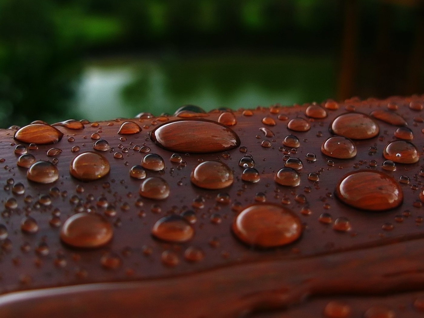 Капли влаги на коричневой поверхности