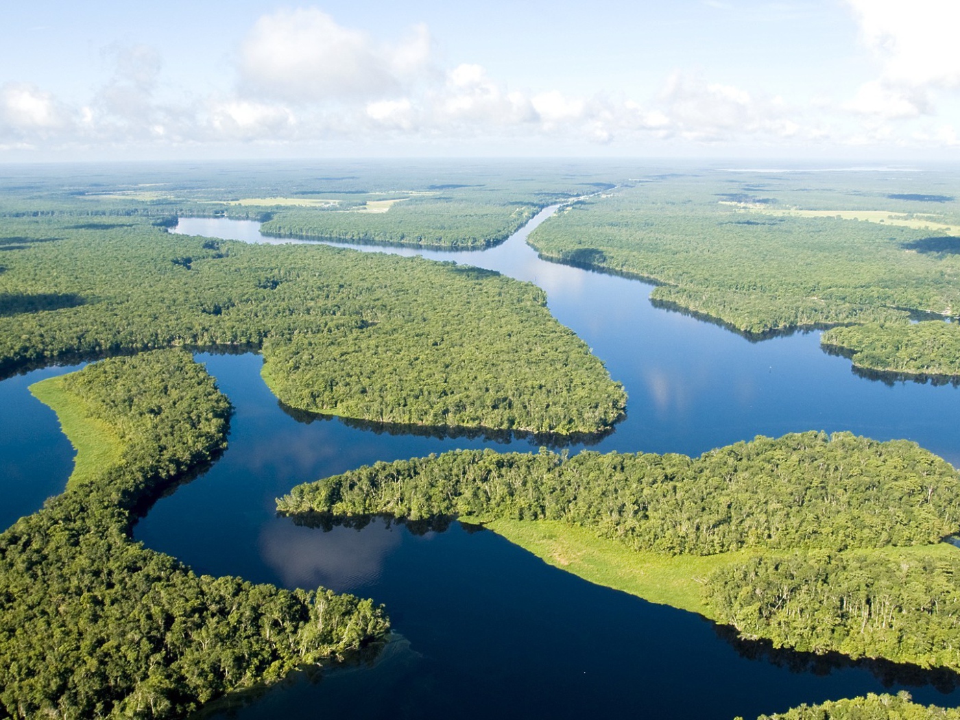 Густые леса на реке Амазонка