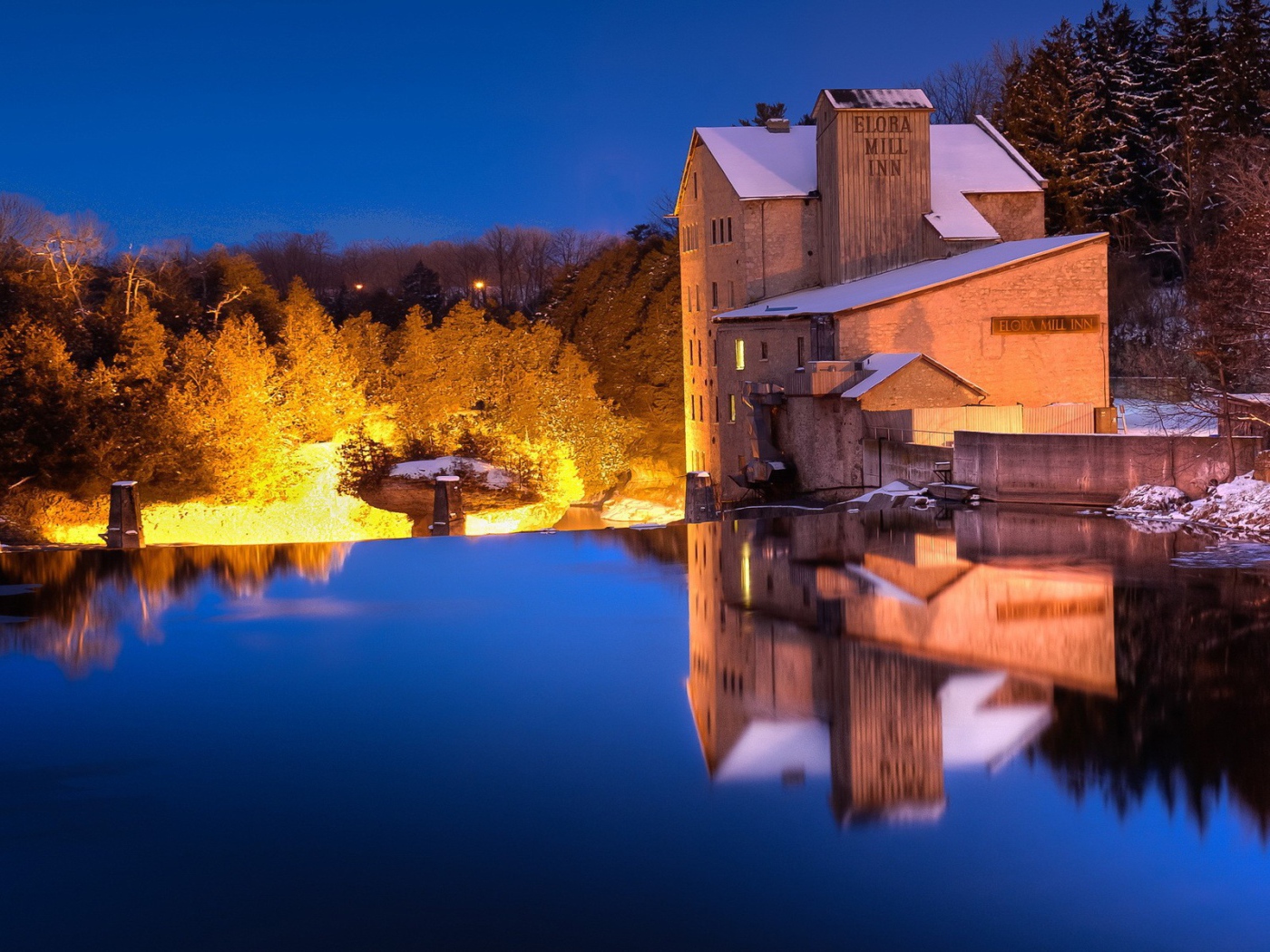 Освещенные деревья на берегу озера