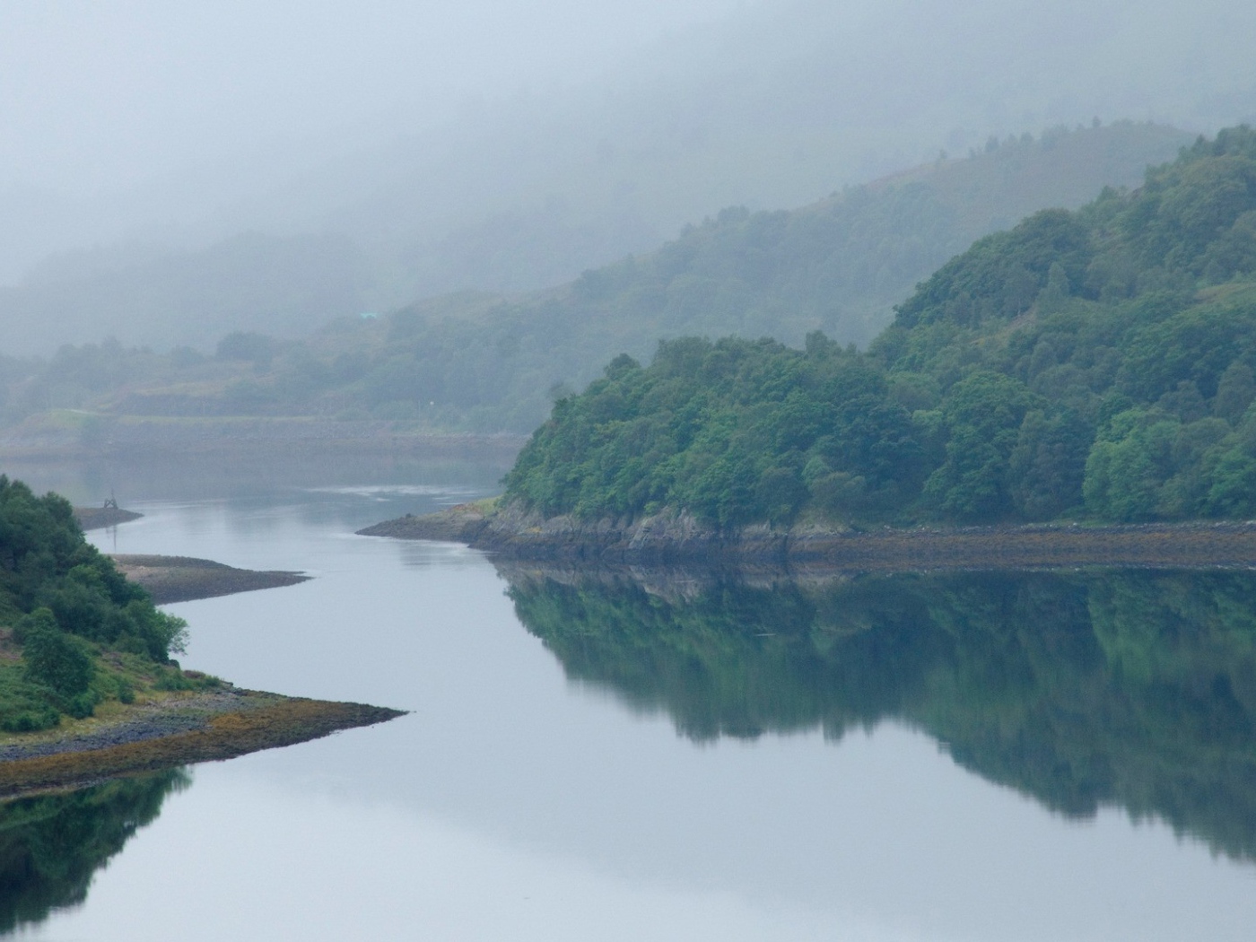 Извилистая река посреди поросших деревьями берегов